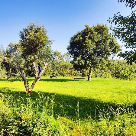 Casa Florestal - Pure Nature Cabins Fatela ภายนอก รูปภาพ